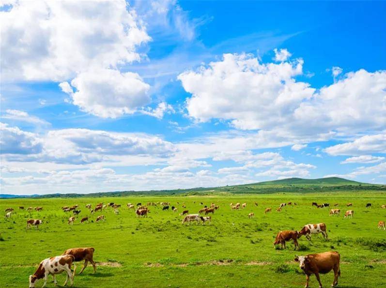 内蒙古阳光小聚,感受大草原的温暖时光