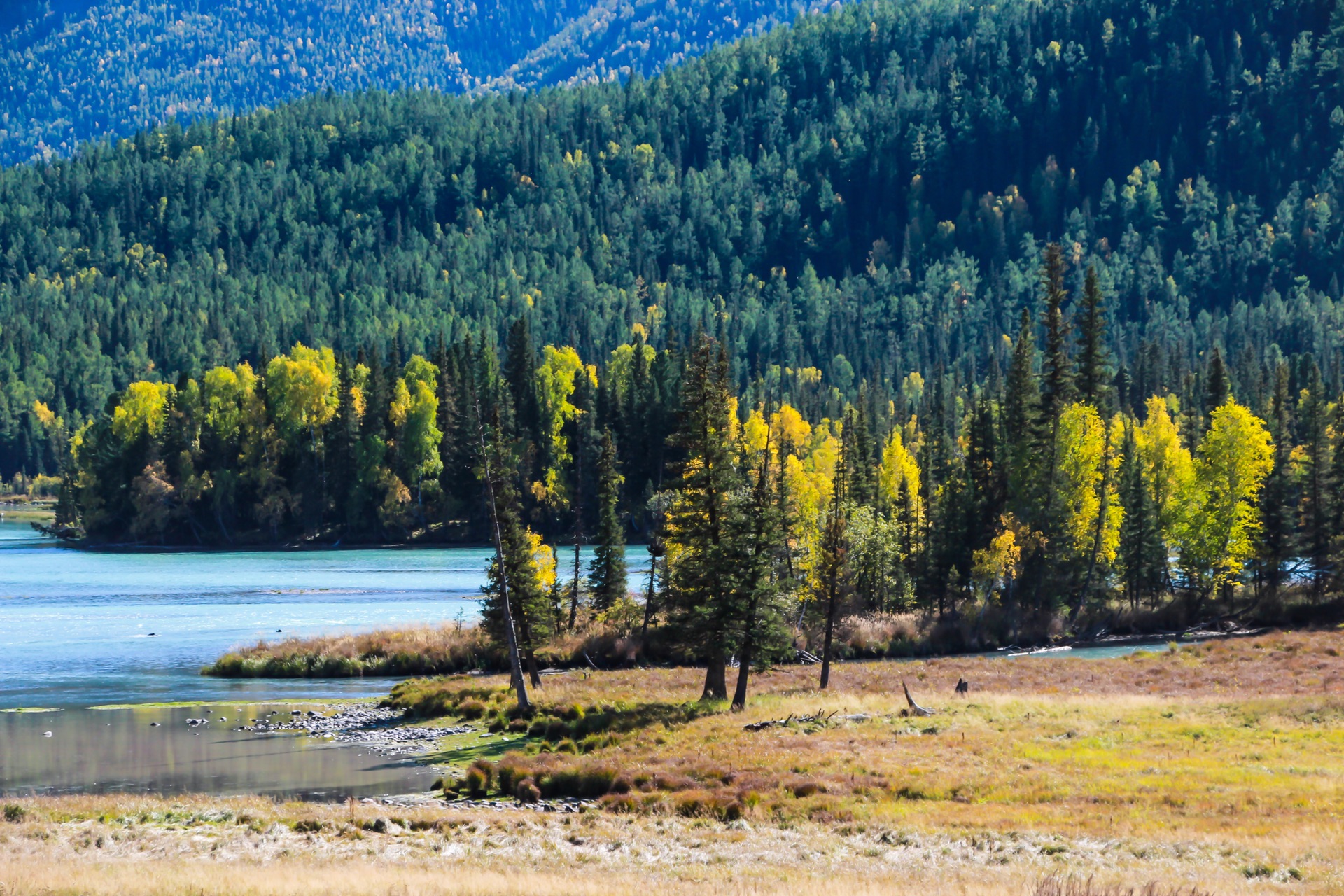新疆,稳定繁荣的西北明珠闪耀光芒